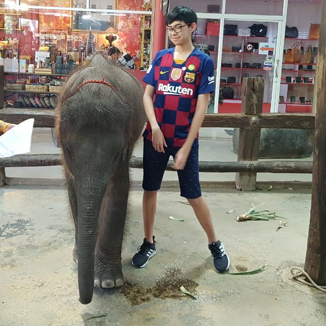 lanky boy standing beside a small elephant